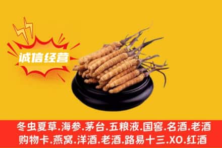 商丘永城市回收冬虫夏草